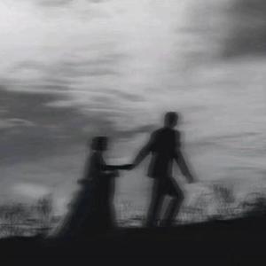 草莓视频下载地址
