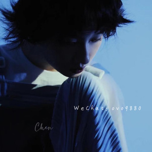 草莓视频下载地址
