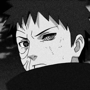 草莓视频下载地址
