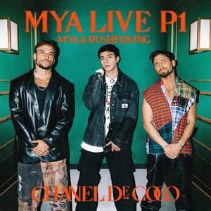 草莓视频下载地址
